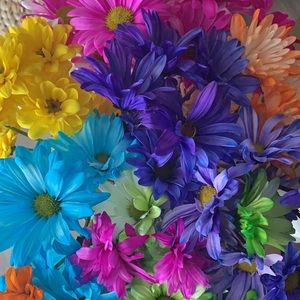 Meet your Posher, Ivhannya